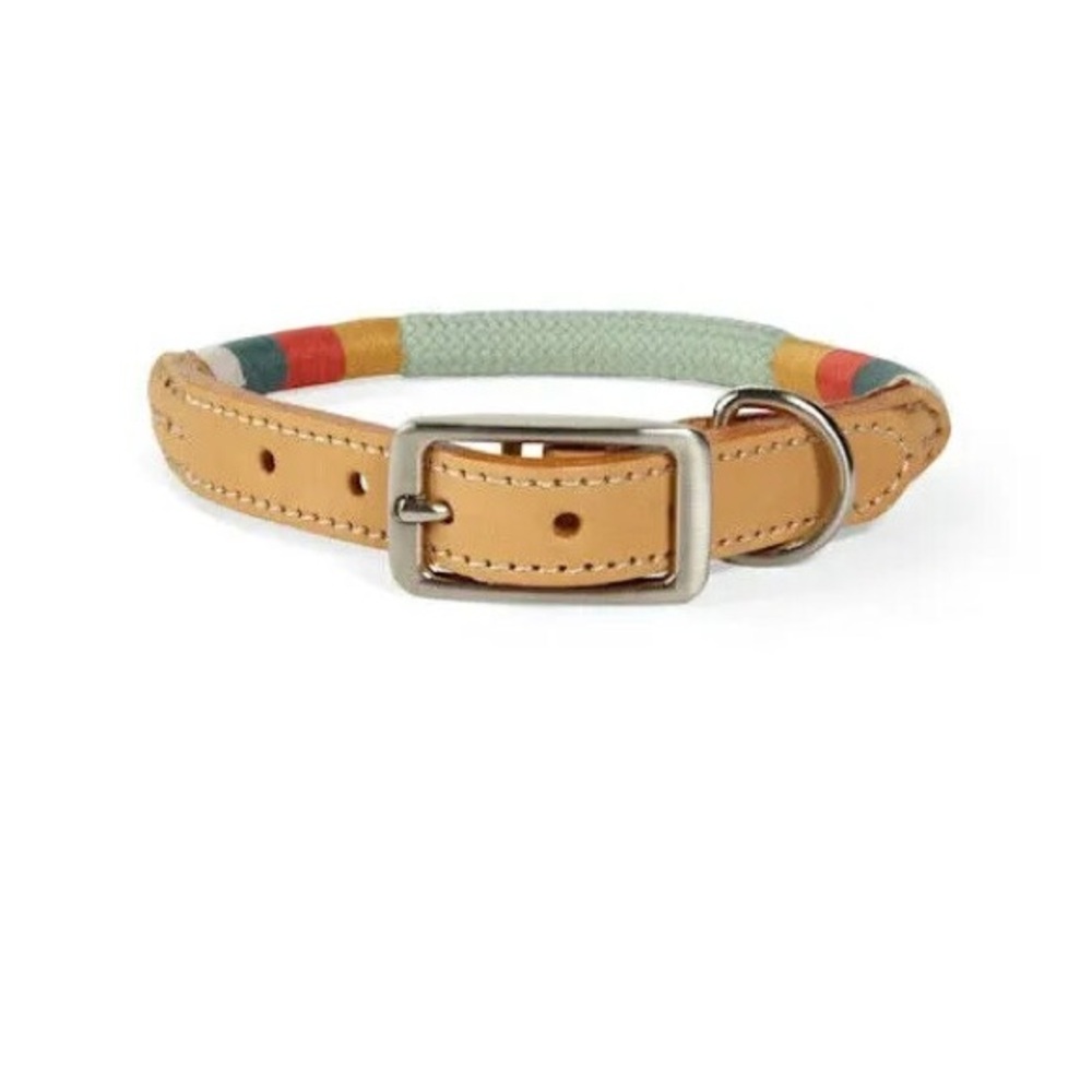 Youly Colorful Leather Dog Collar(The Wanderer)
